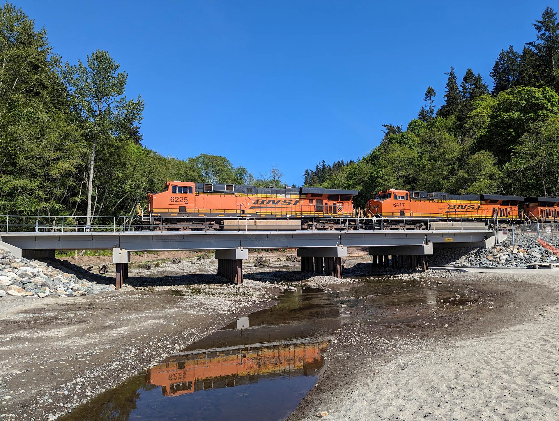 A train crosses a new bridge over an improved estuary for fish, with a line of trees in the background