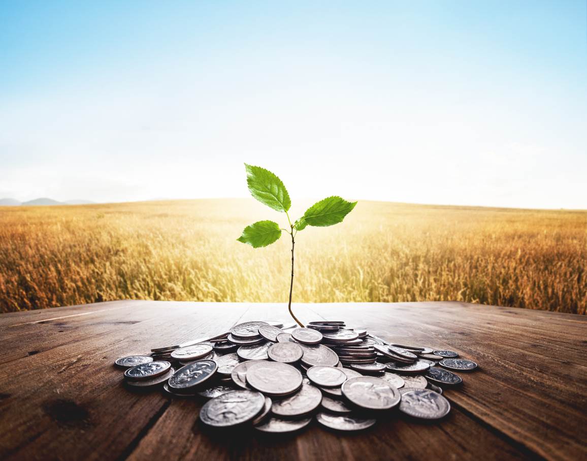 Composite image of a small green plant growing from a pile of coins on wooden planks in front of a field