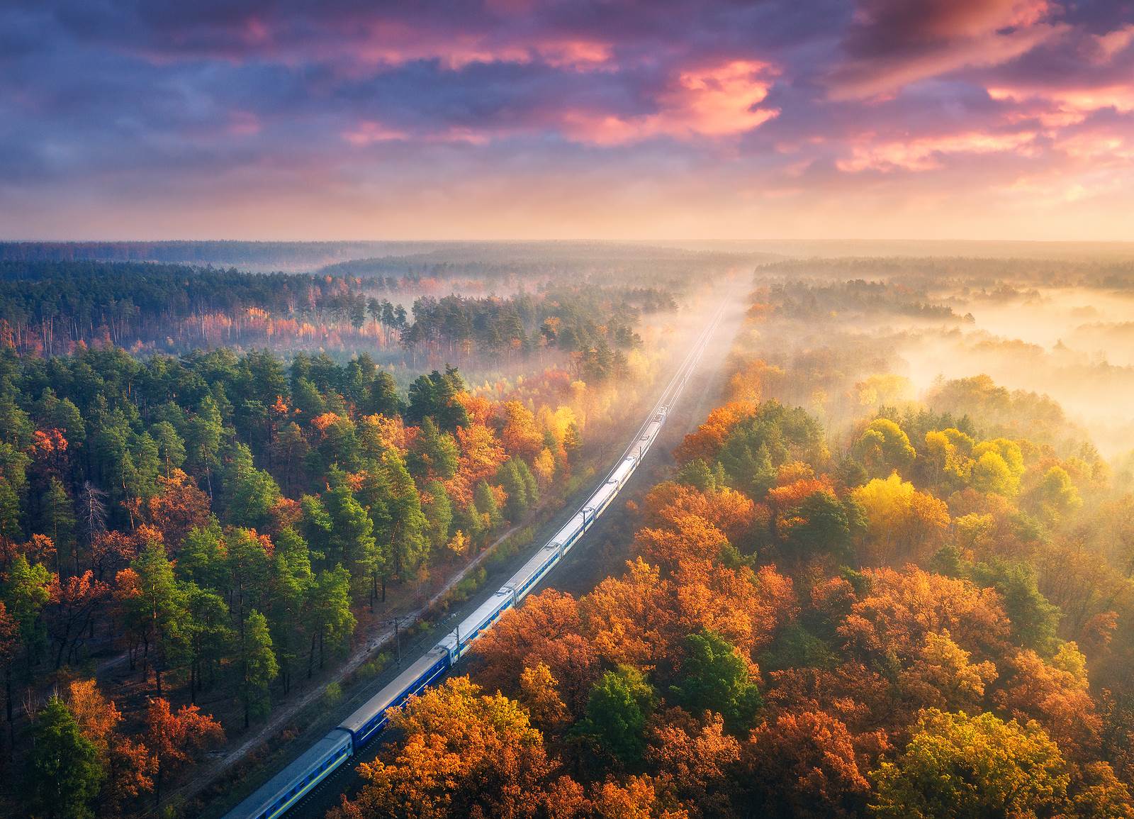 Aerial view of train in forest in autumn fog at sunset