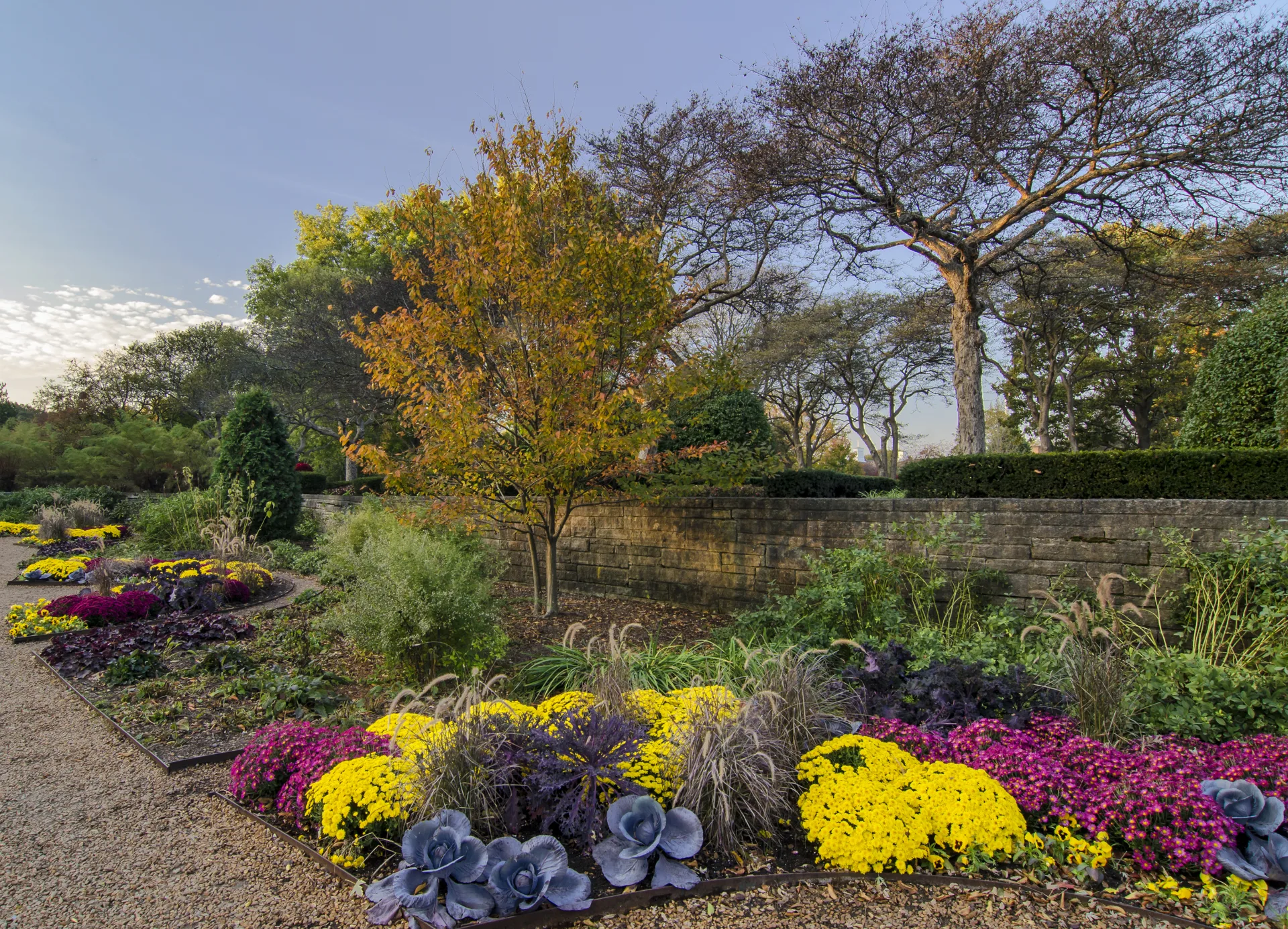 Mums and ornamental vegetables grace the pathwasy in autumn at the Cantigny Gardens in DuPage County, Illinois