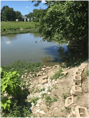 Wildcat Creek prior to renovations