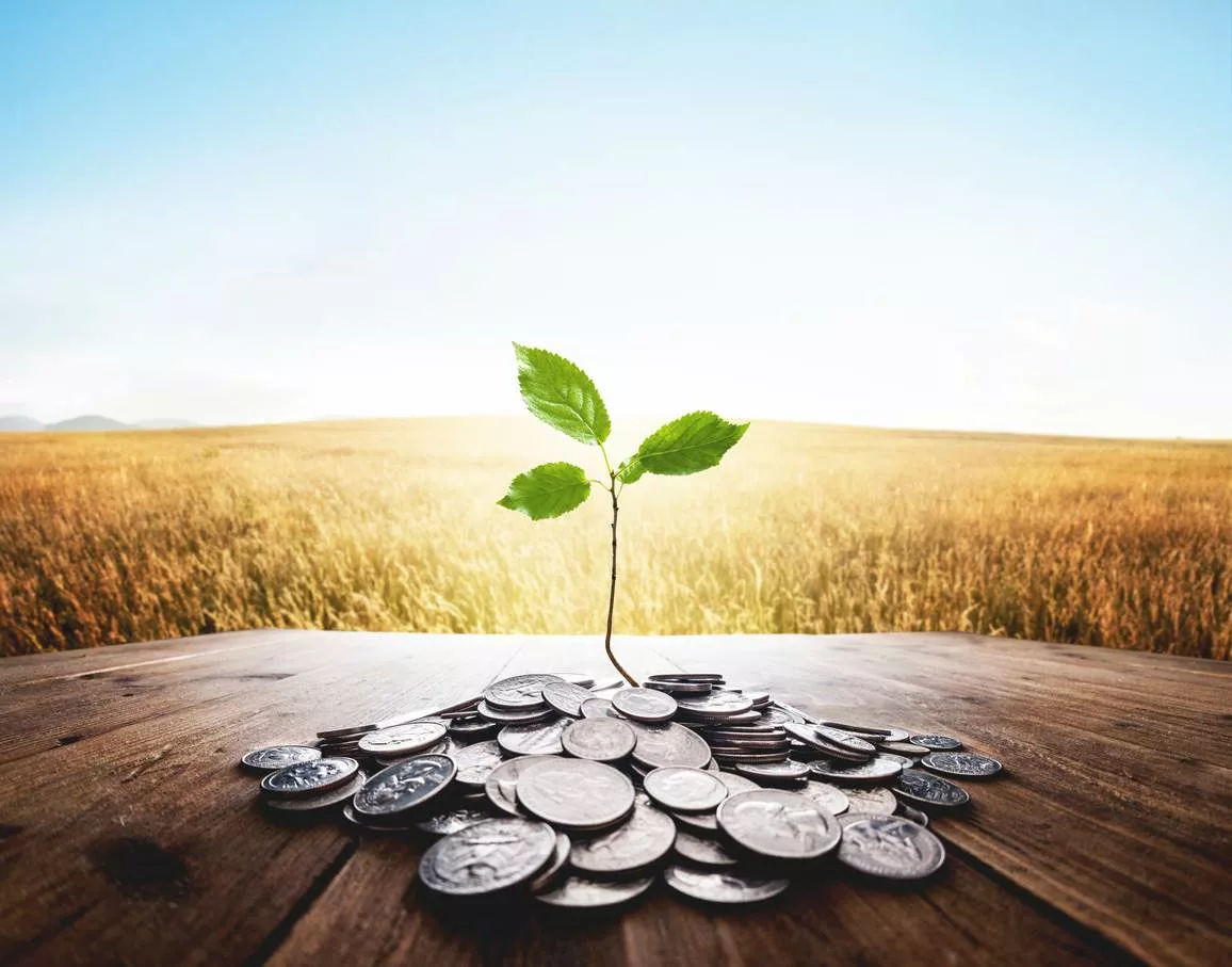 iStock-495389864