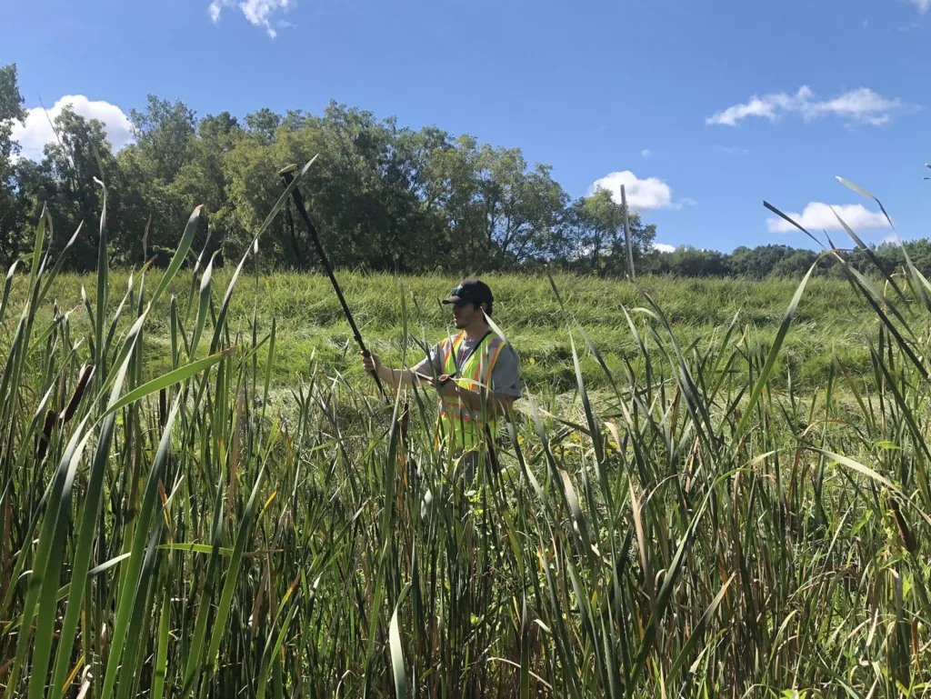 Man in safety vest and black ball cap holds a surveying tool in a field with tall grasses and trees in background