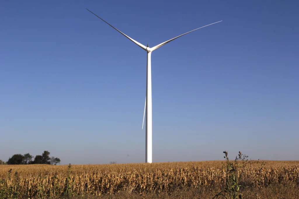 Ground view of wind turbine with brown cornfield in foreground and blue sky in the background.