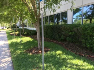 Close-up photo of a building with trees and bushes in front and a sidewalk at left