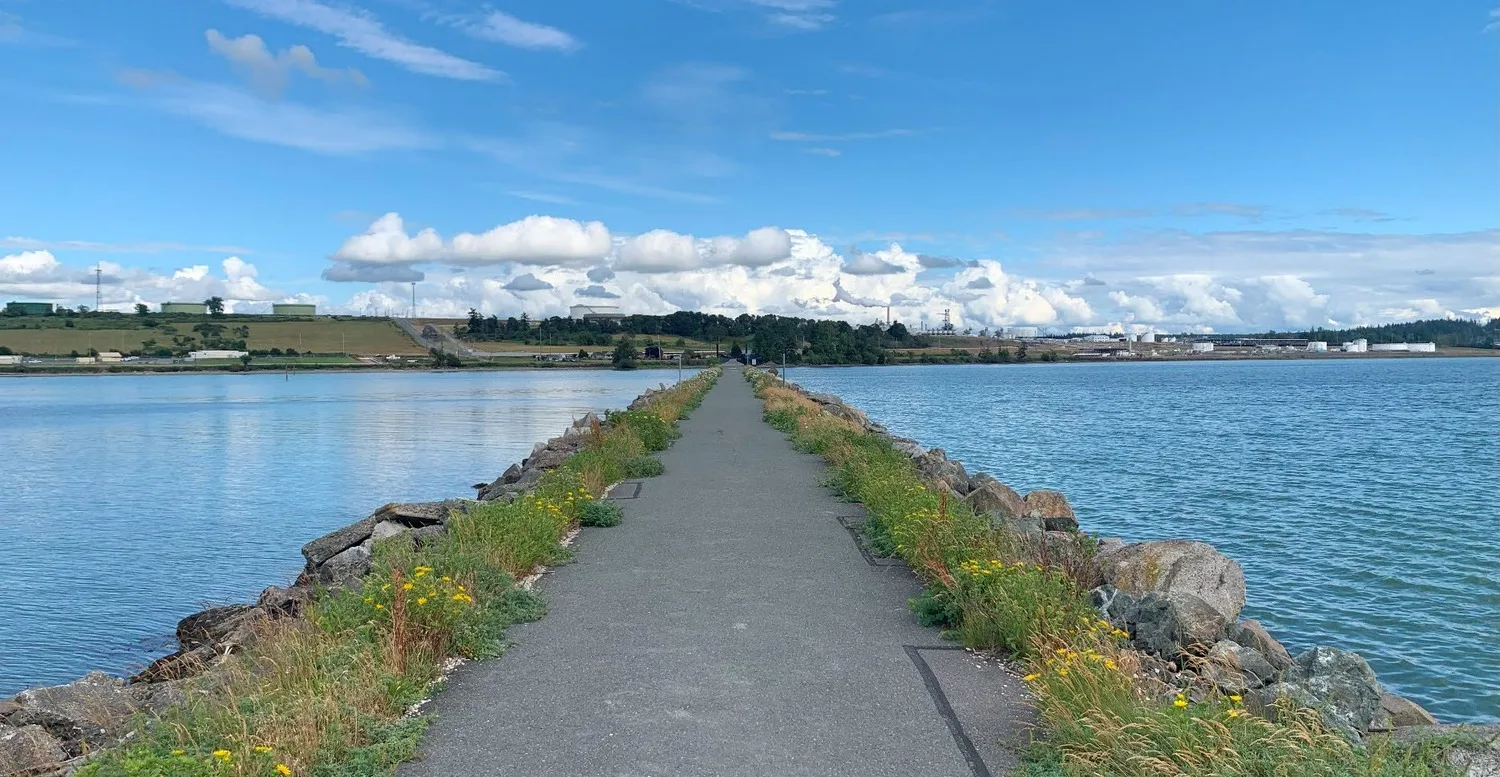 Concrete pathway surrounded with grass and rocks on both sides, passing through a body of water with blue sky and clouds overhead and trees and buildings in background